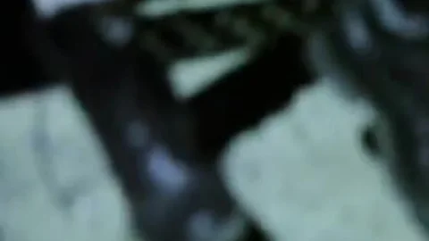 Bravo Delta & Max Ryder