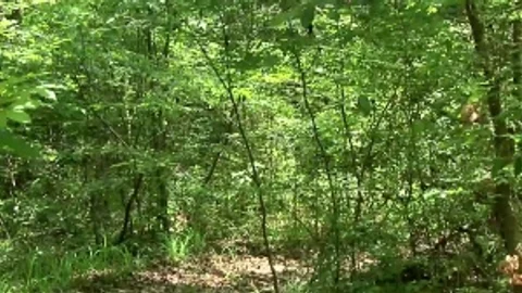 Habit Trail - Bryce Star, Jimmy Johnson butthole pound