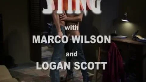 Sting: Logan Scott & Marco Wilson